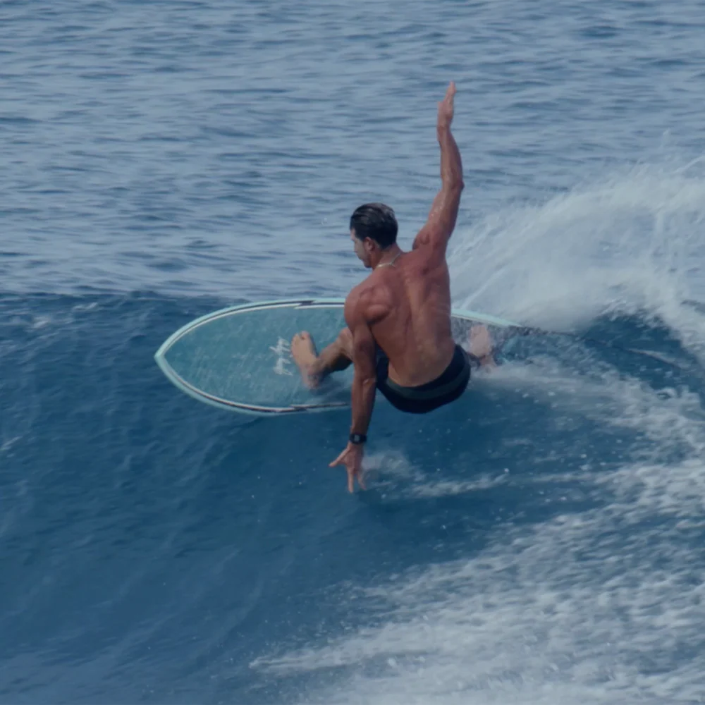 GERRY LOPEZ SOMETHING FISHY 6'0" TRUERIDE FUTURES 40.9L