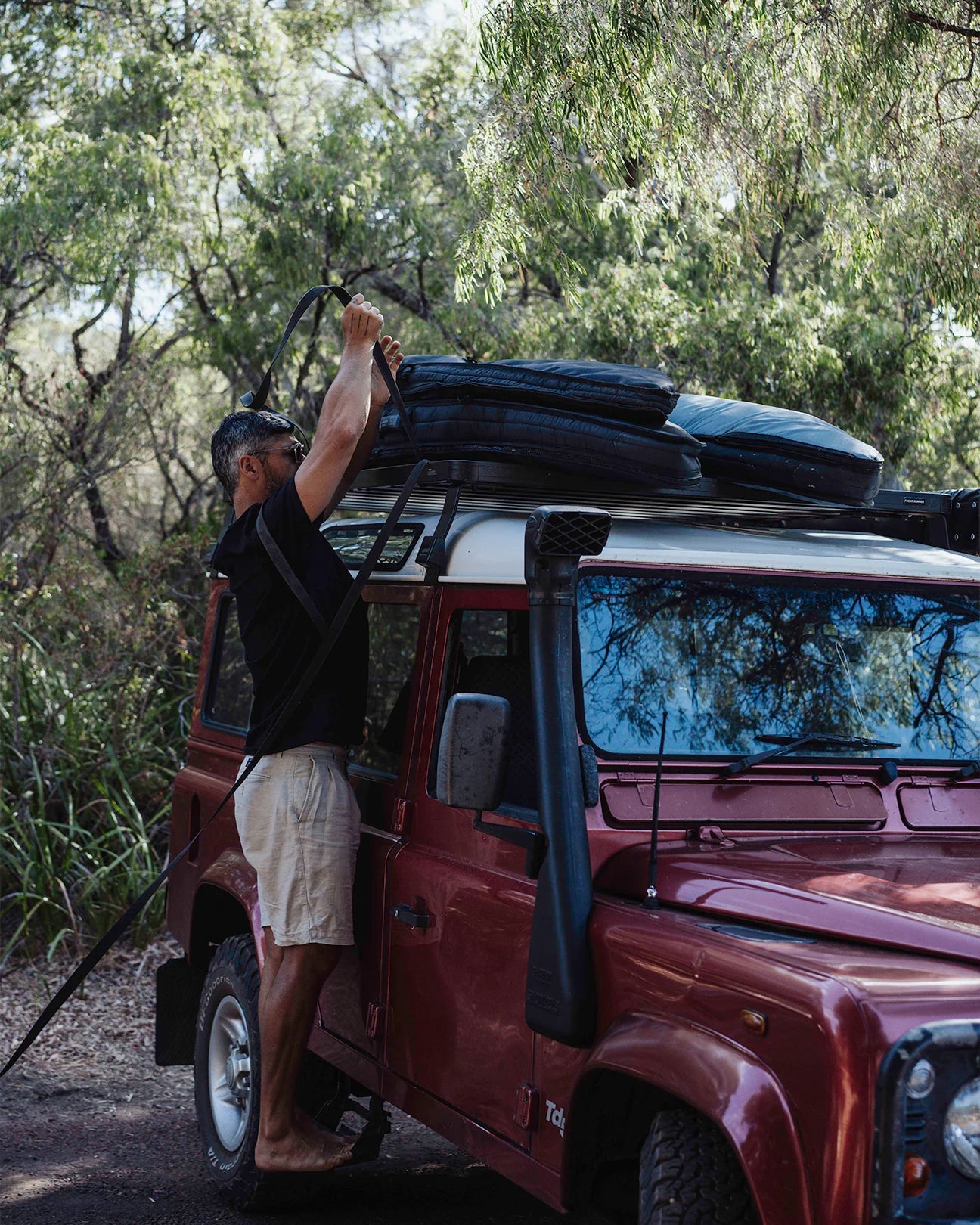 CREATURES TIE DOWNS 2.75m/3.65m/4.55m