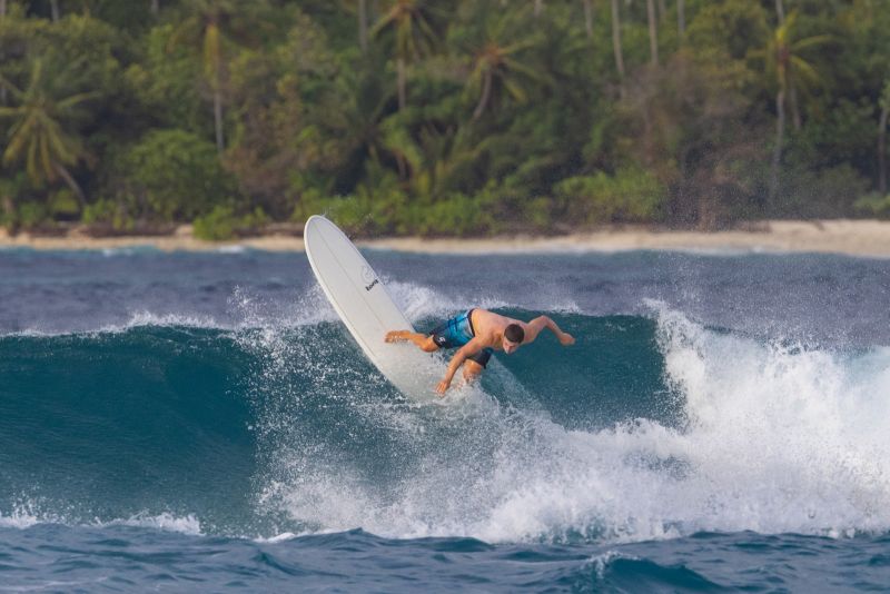 TORQ TET MOD FUN 6'8" FUTURES 41.8L - CLASSIC PALM