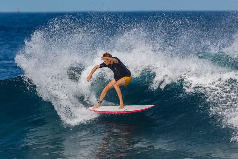 TORQ TET MOD FUN 6'8" FUTURES 41.8L - CLASSIC PALM