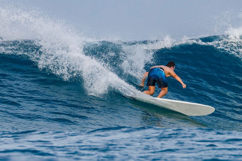 TORQ TET MOD FUN 6'8" FUTURES 41.8L - CLASSIC PALM