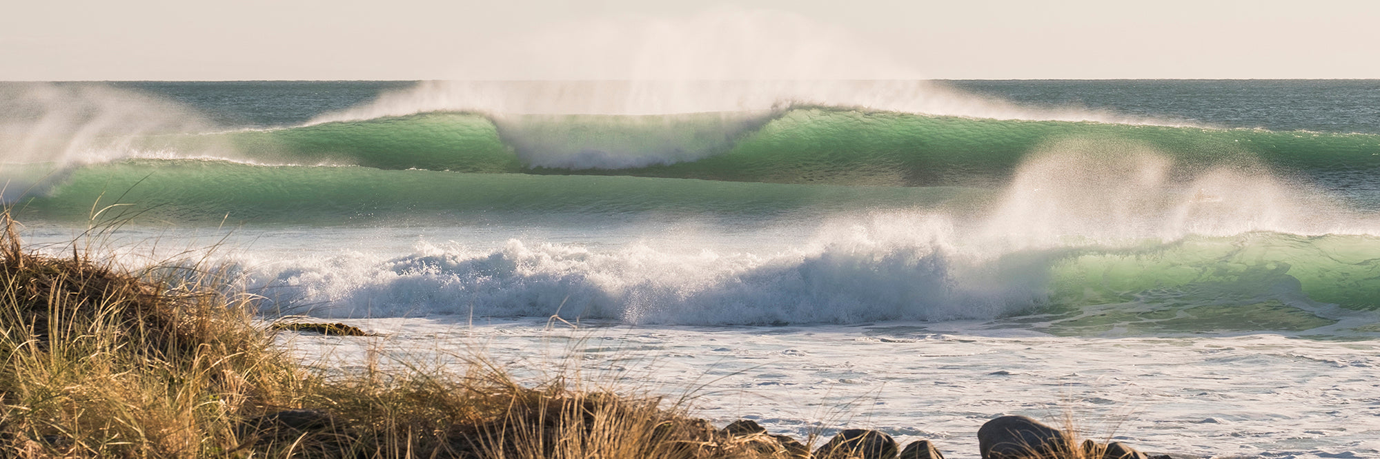 Surf shop outlet lyall bay