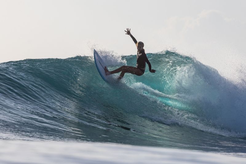 TORQ TET MOD FUN 7'2" FUTURES 47.2 - CLASSIC PALM