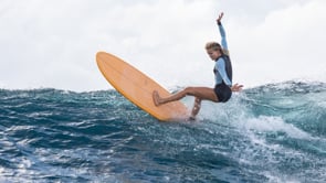 TORQ TET MOD FUN 7'2" FUTURES 47.2 - CLASSIC PALM