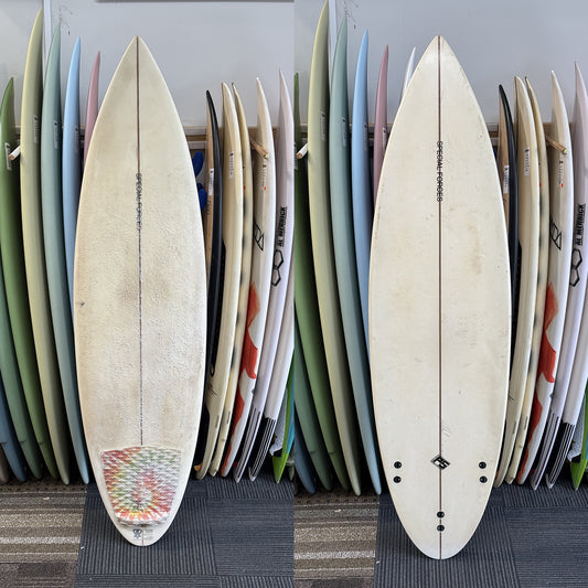 PAUL SHANKS SPECIAL FORCES 6'0" 31L EPOXY